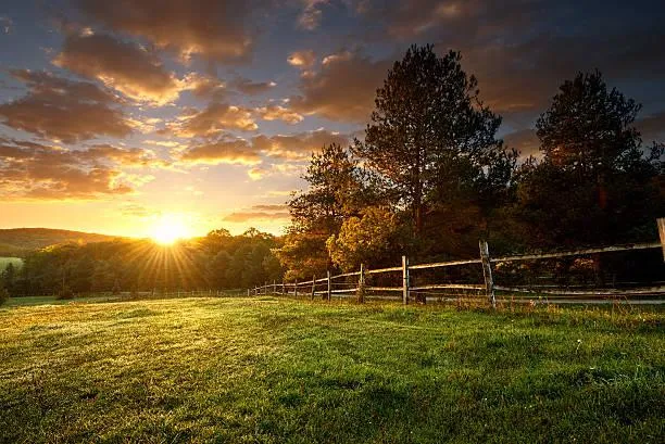 From Mountains to Forests: 20 Stunning Vistas, mountain photos, forest landscapes, nature, landscape, nature variety, wide scenery