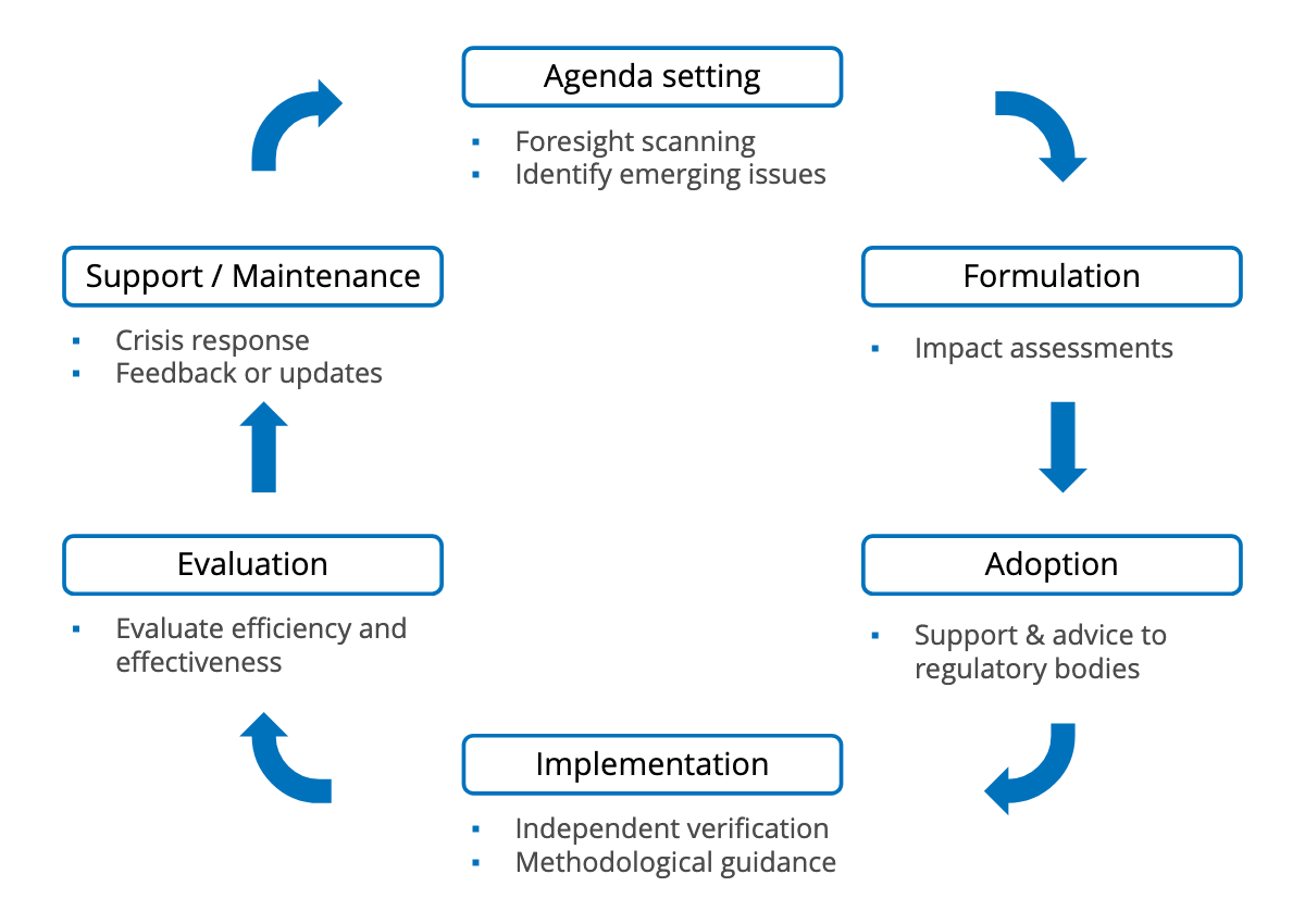 policy cycle