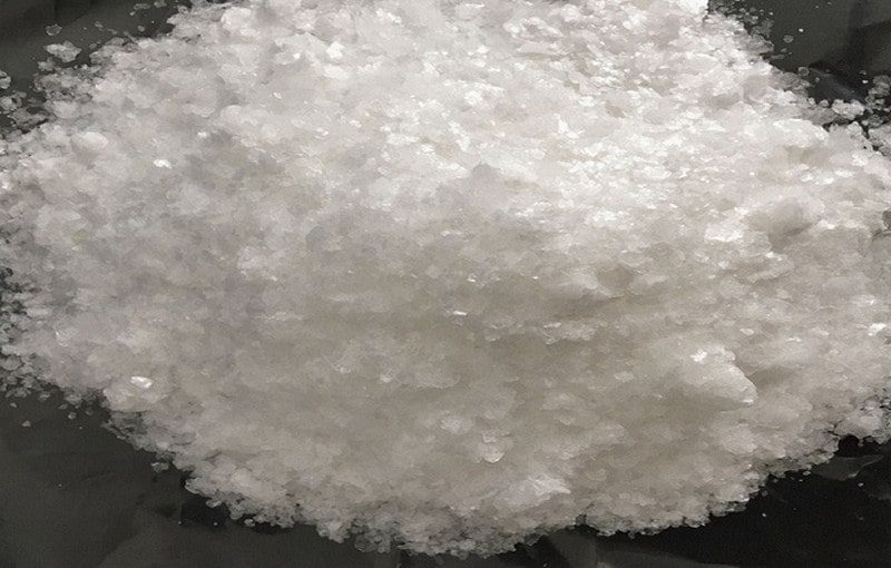Bệnh nứt thân, xì mủ: Nguyên nhân, triệu chứng & cách phòng trị
