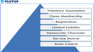 features of cooperative society