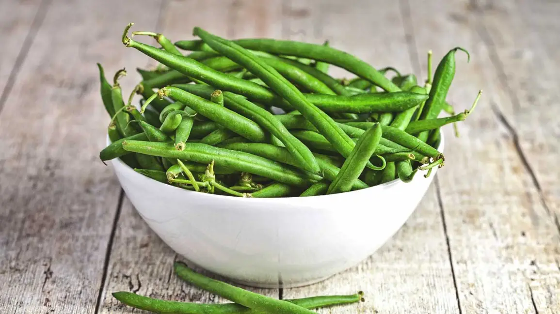 Characteristics of Green Beans