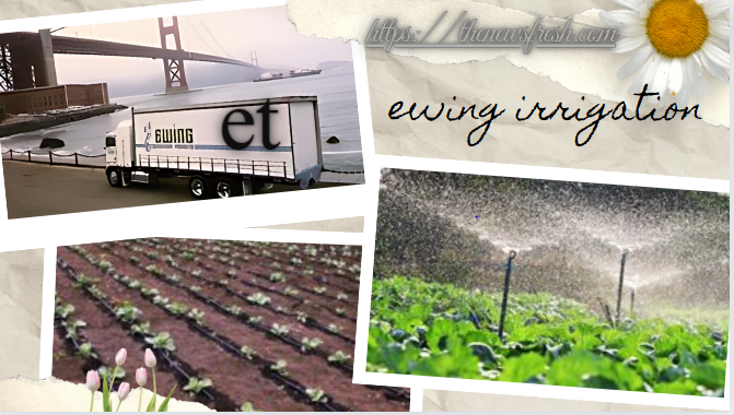 Ewing Irrigation