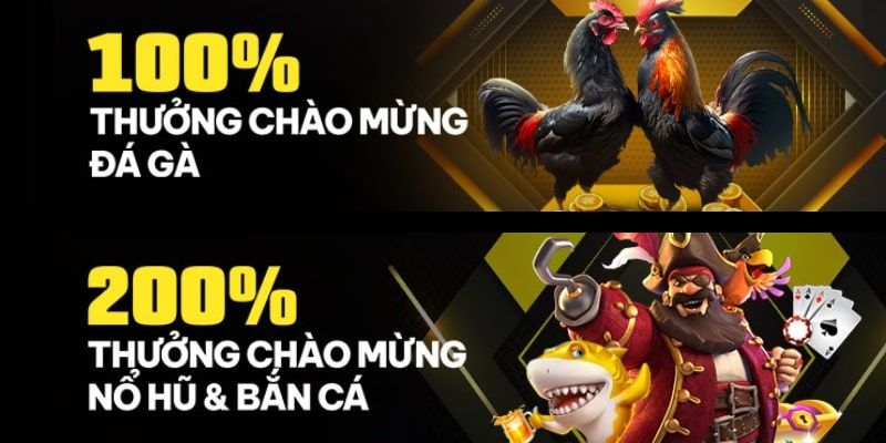Những Chương Trình Khuyến Mãi Betvisa Hấp Dẫn Dành Cho Bet Thủ