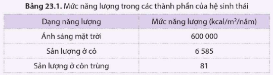 BÀI 23. HỆ SINH THÁI