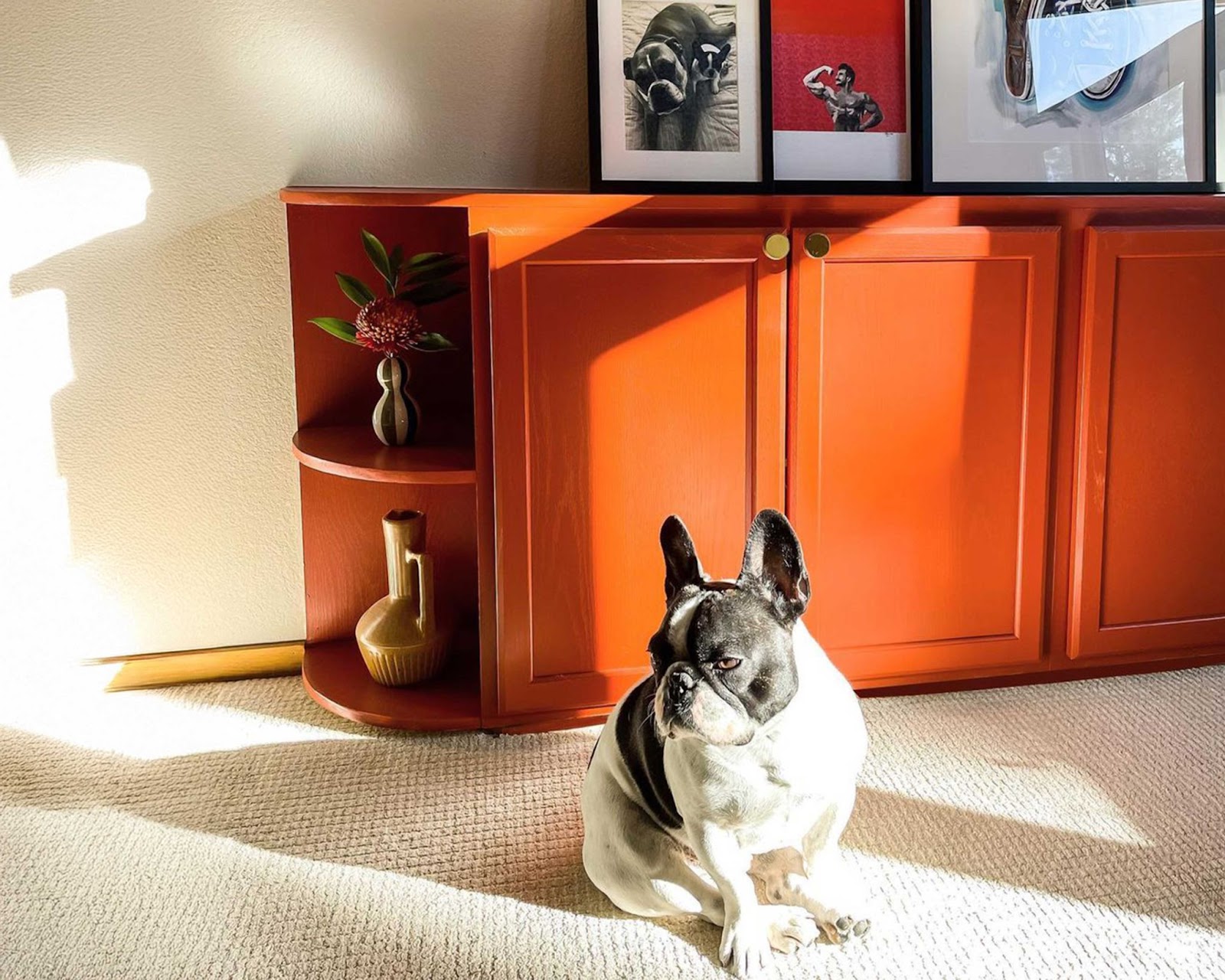 WOW 1 Day Painting Shades of Red - Red Cabinets with Dog