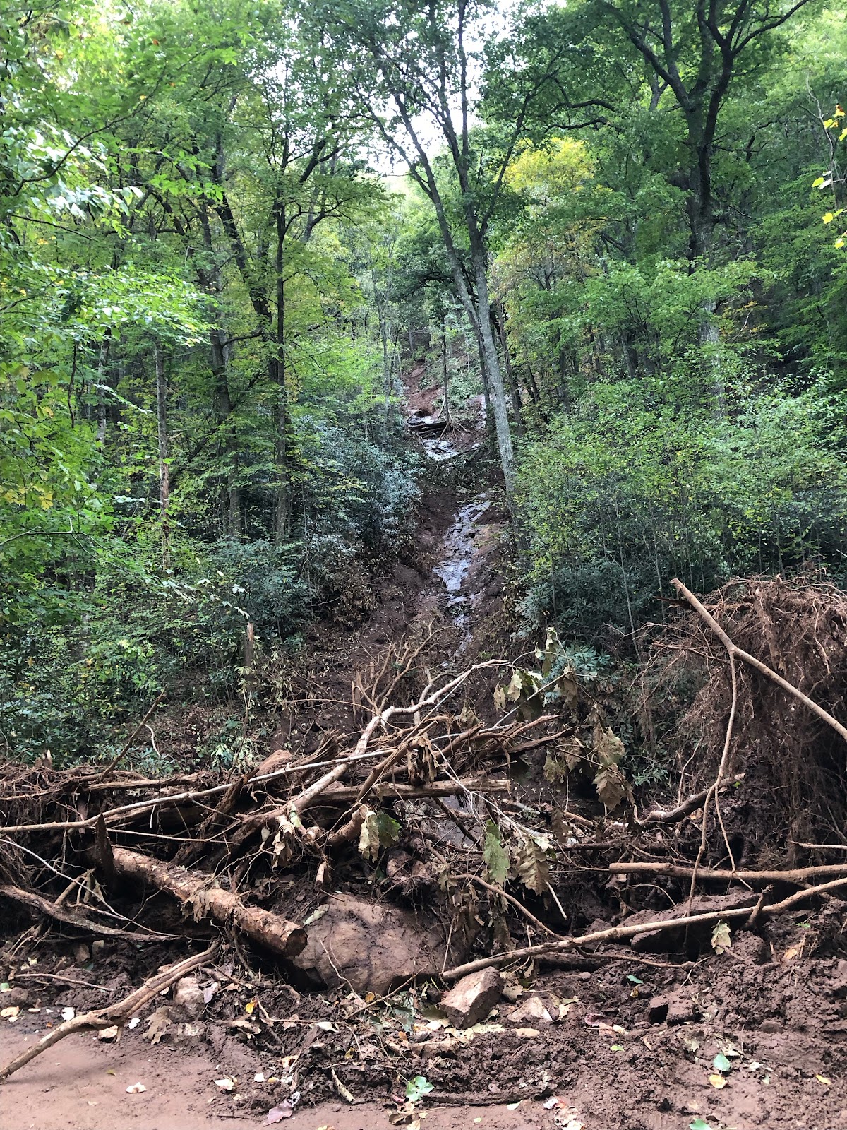 Helene mudslideA 500-foot mudslide caused by Helene. (Photo credit: The author’s firefighter friend)