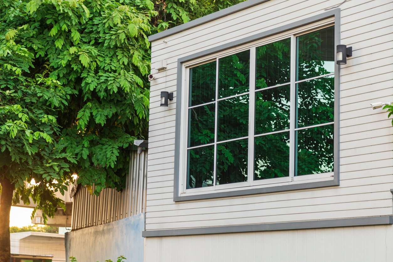 5 Best Window Options to Bring In More Natural Light