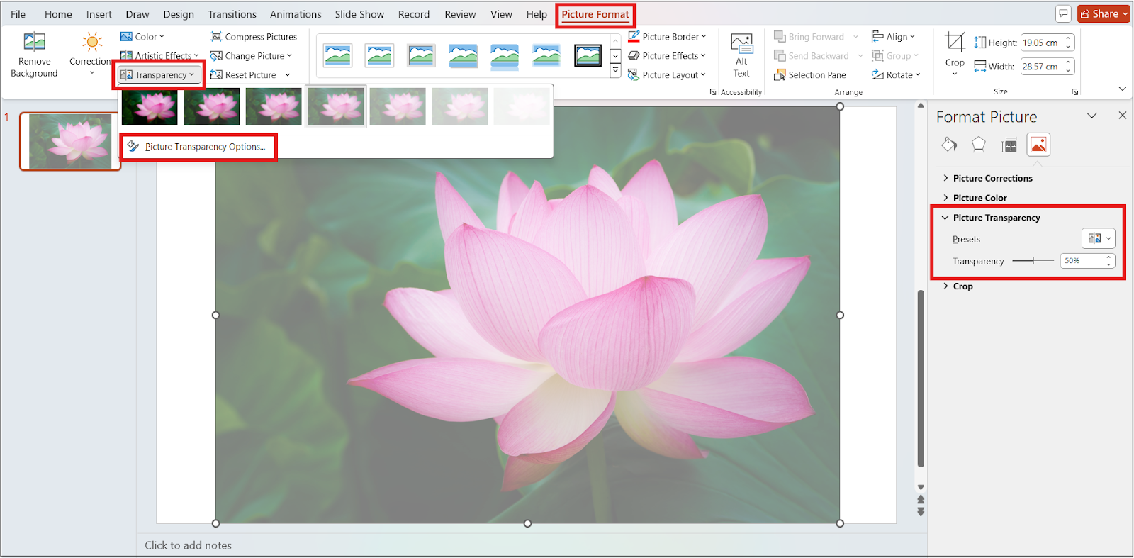 Picture Format > Transparency, Picture Transparency Options are highlighted.
