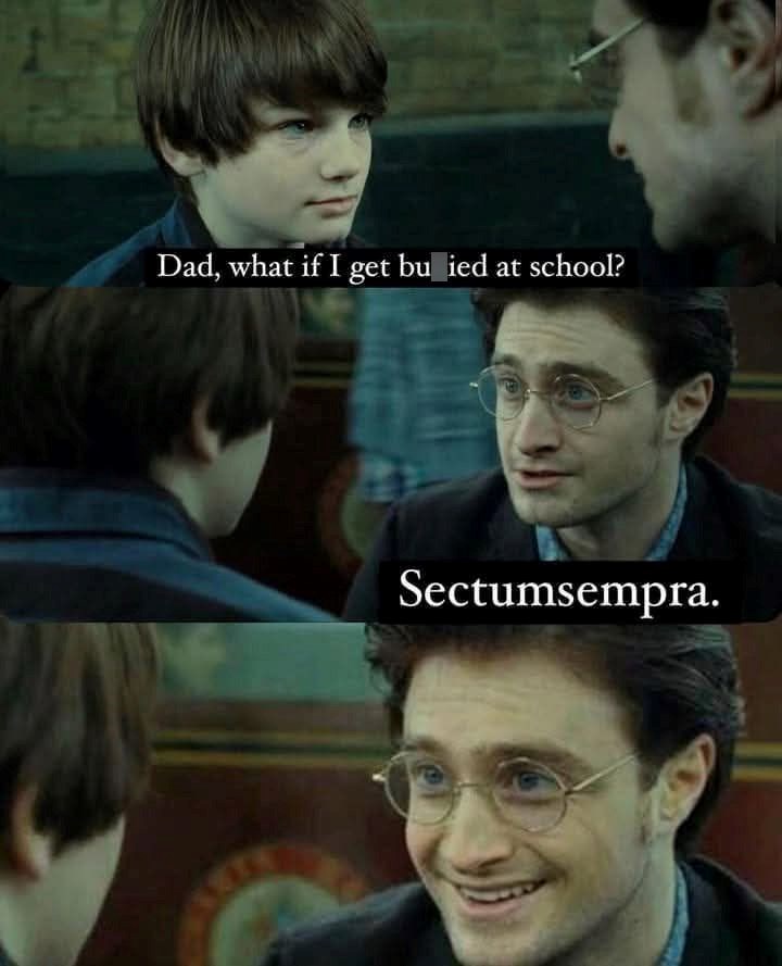 Dad, what if I get bu_ied at school? Sectumsempra.