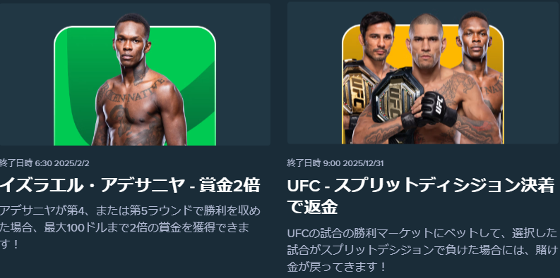 UFC専用プロモーション例