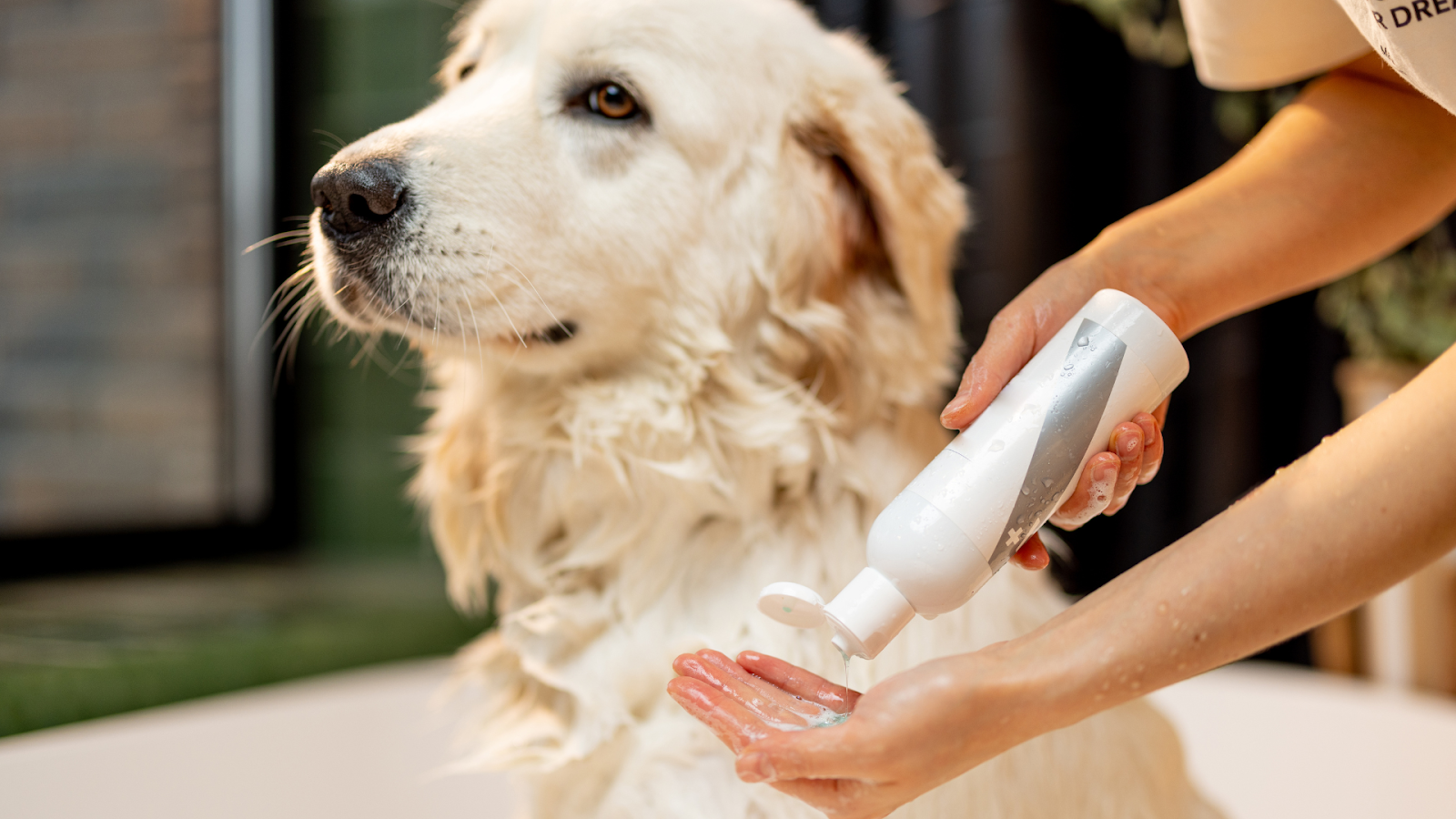 Choose grooming products tailored to your pet’s type for optimal care.