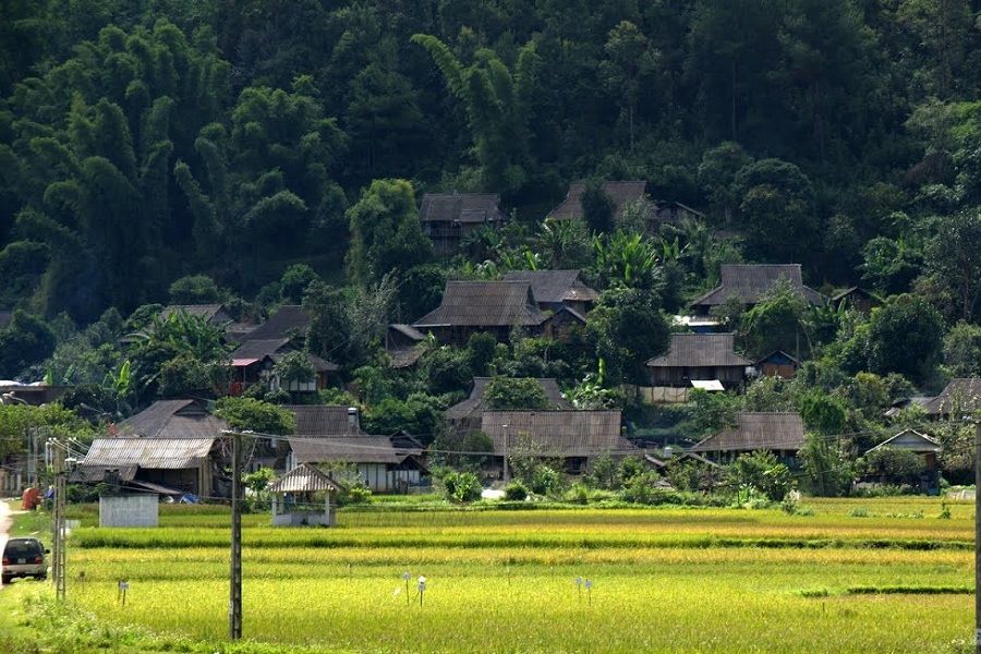 The traditional Thai houses surrounded by green gardens