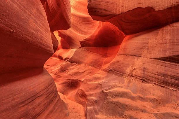 Scenes of Earth: 15 Nature Photos to Admire, earth scenes, admirable nature, nature, landscape, scenic pride, photo elegance