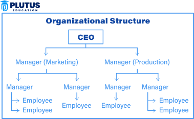 Organizational Structure