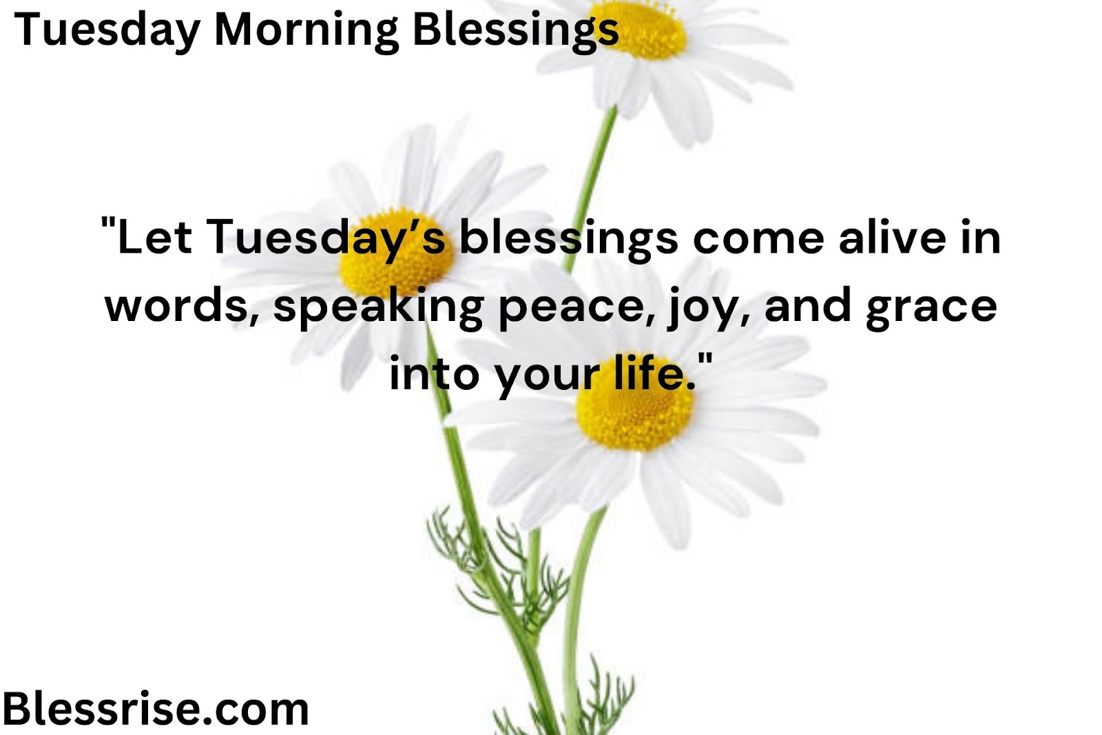  Blessings Poured on Tuesday