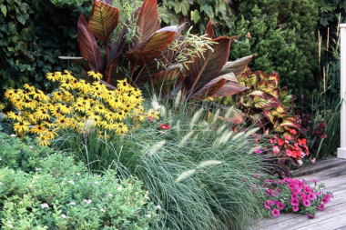 best plants for your michigan deck ornamental grasses around decking custom built okemos