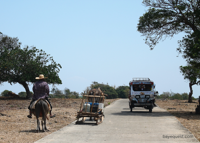 Do You Need a License to Ride a Horse On The Road
