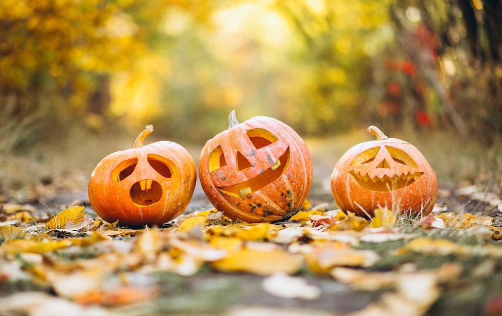 Three jack-o-lanterns sitting on a bed of leaves