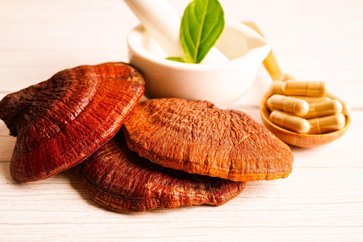 A group of mushrooms next to a mortar and pestle

AI-generated content may be incorrect.