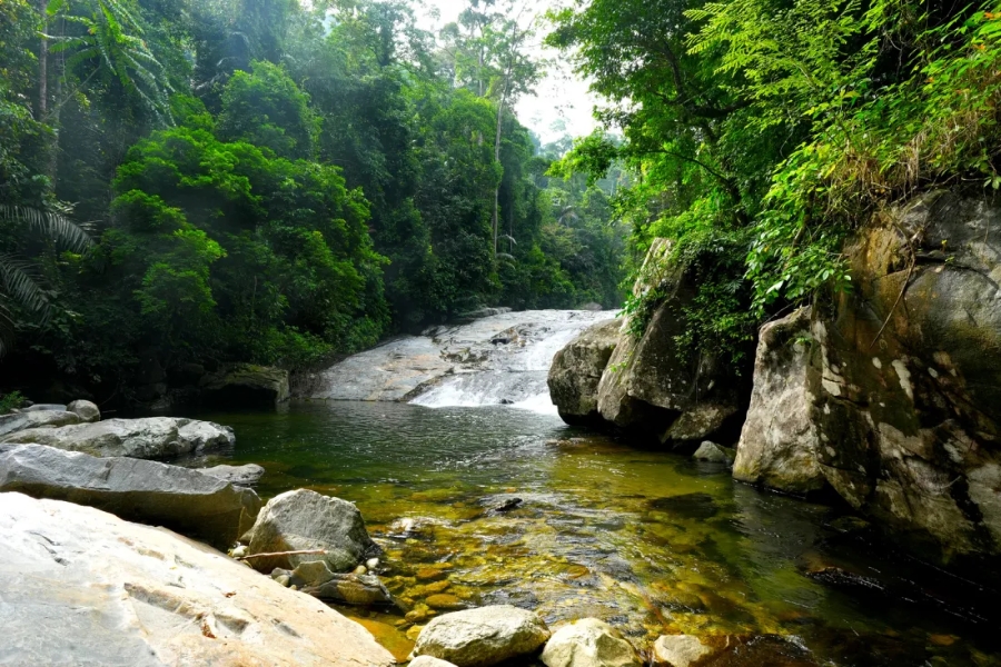 Best time to visit Hala Bala Wildlife Sanctuary