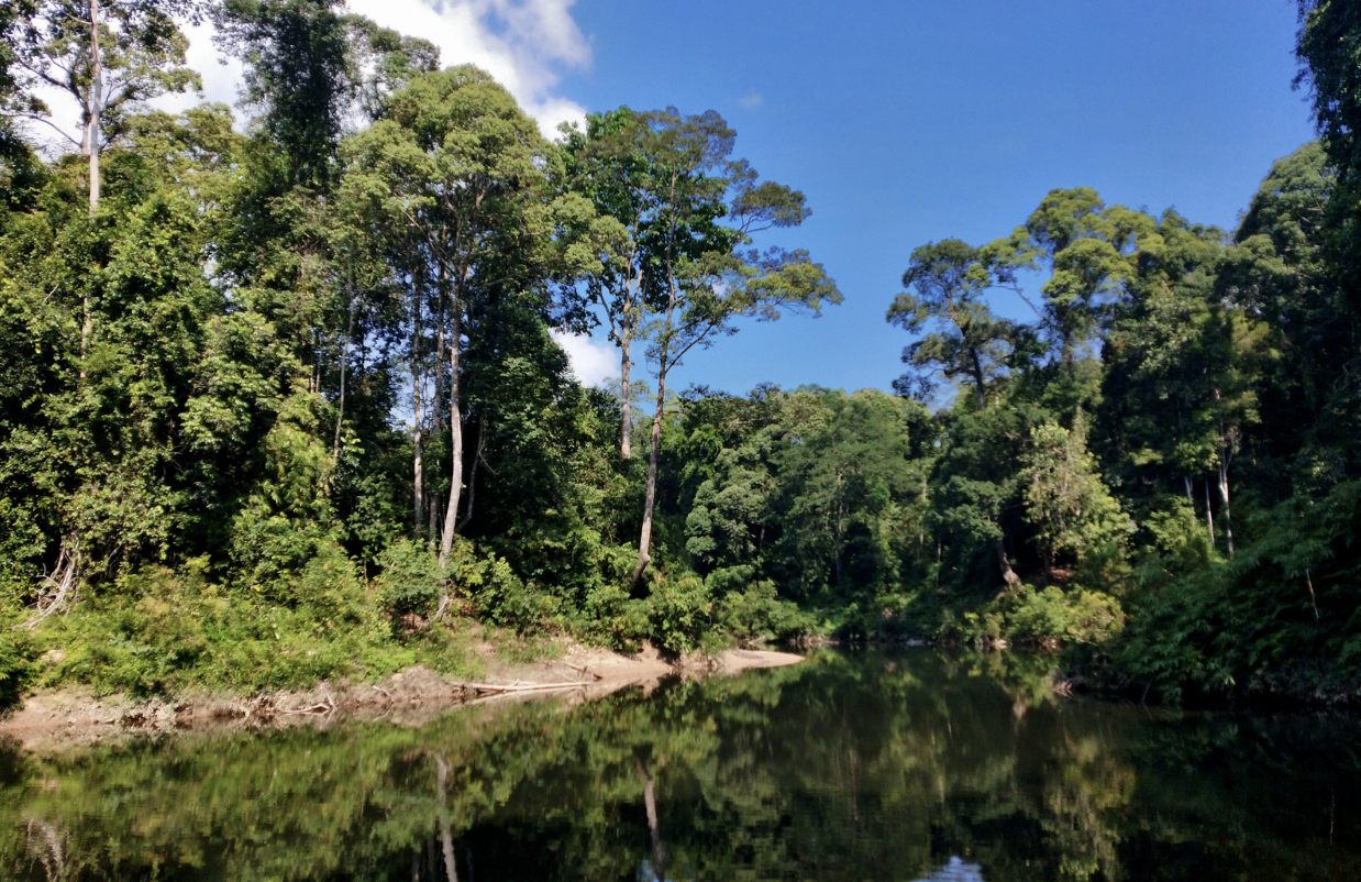 A body of water with trees and blue sky

Description automatically generated