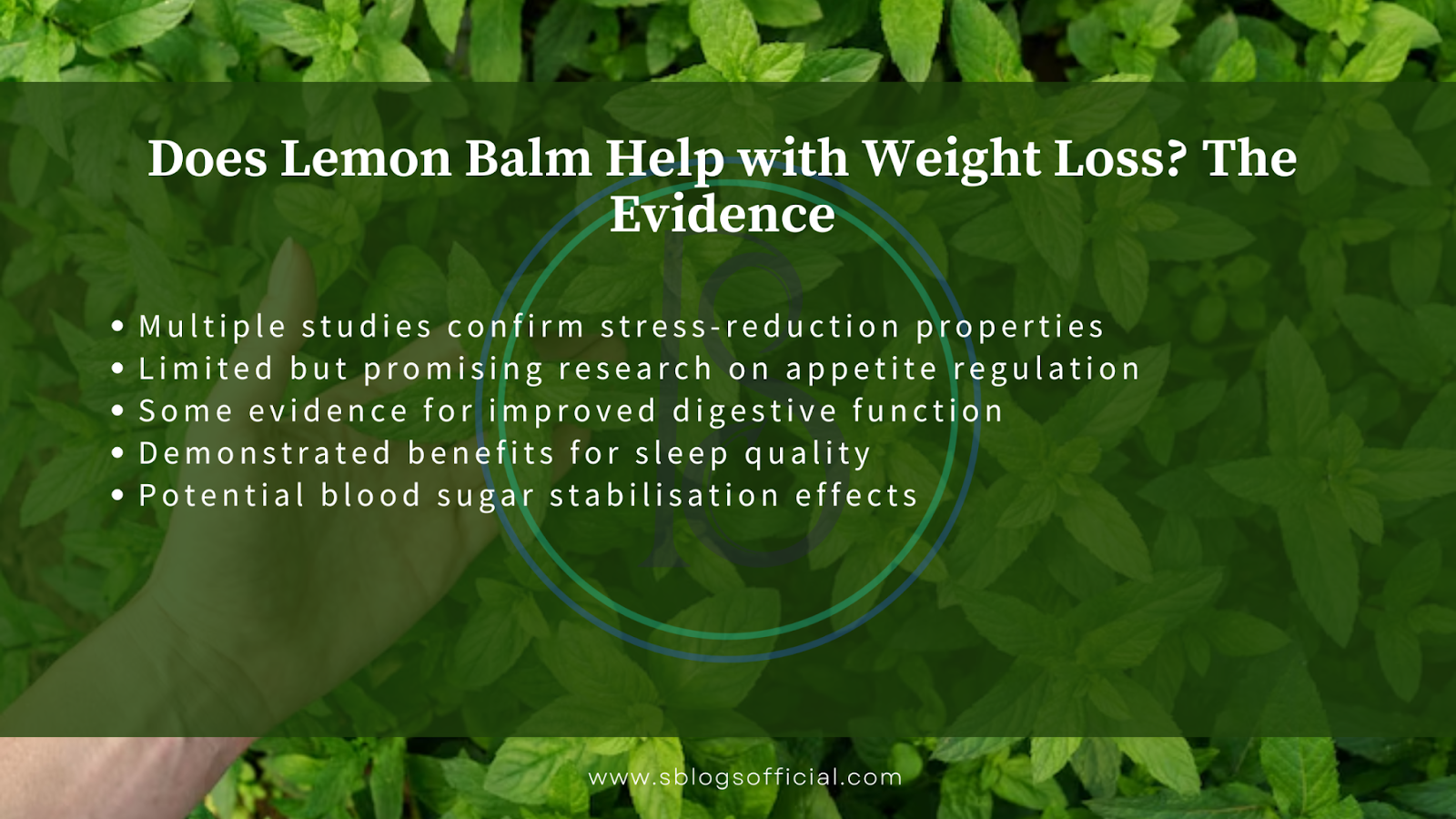Explaining How to Take Lemon Balm for Weight Loss, by defining does lemon balm help with weight loss? The evidence. 