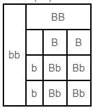 NCERT Solutions for Class 10 Chapter 9 Image 2