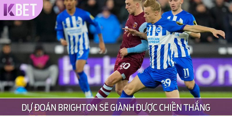 minh hoạ dự đoán kết quả chung cuộc
