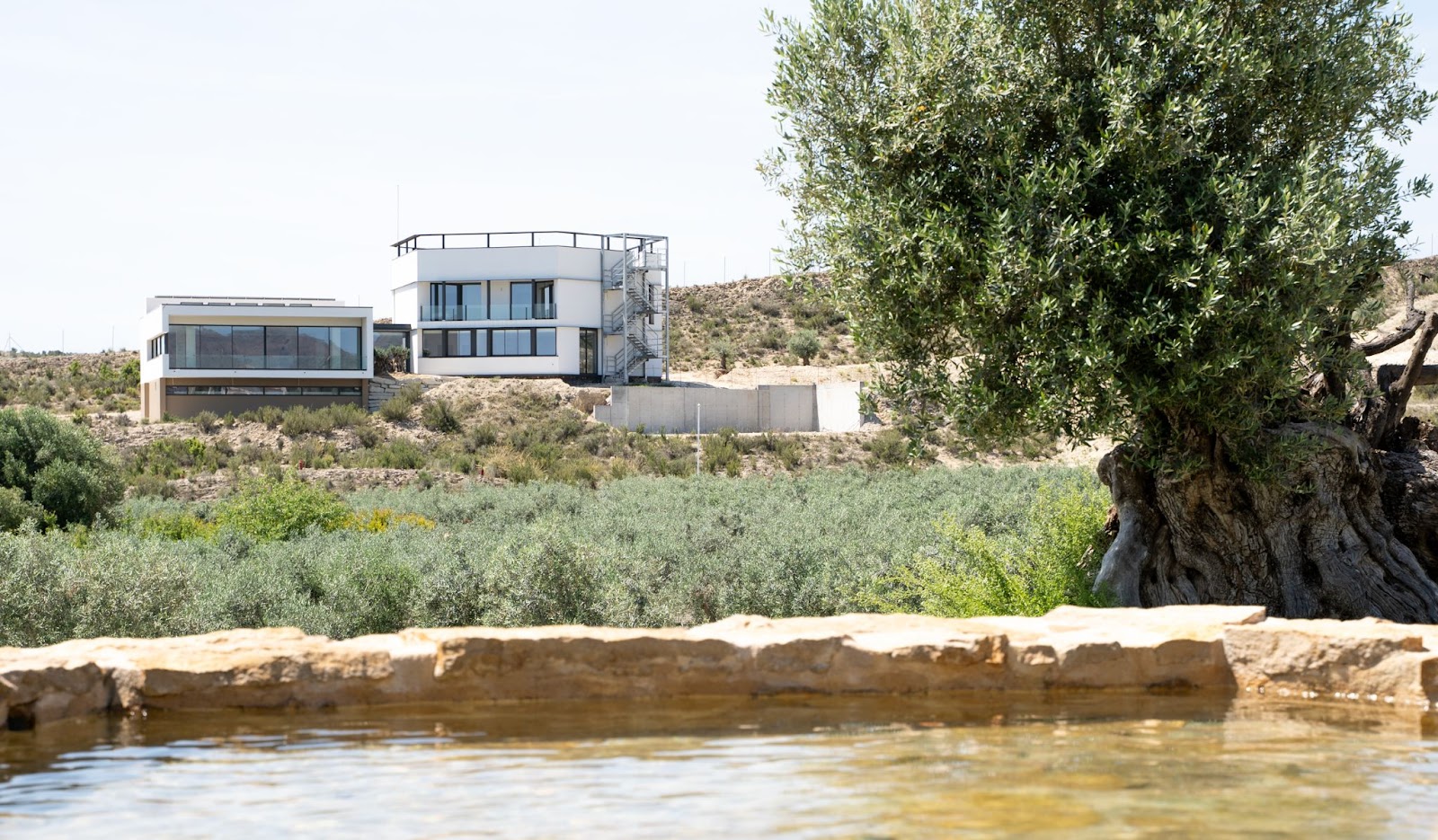 House of Zeus