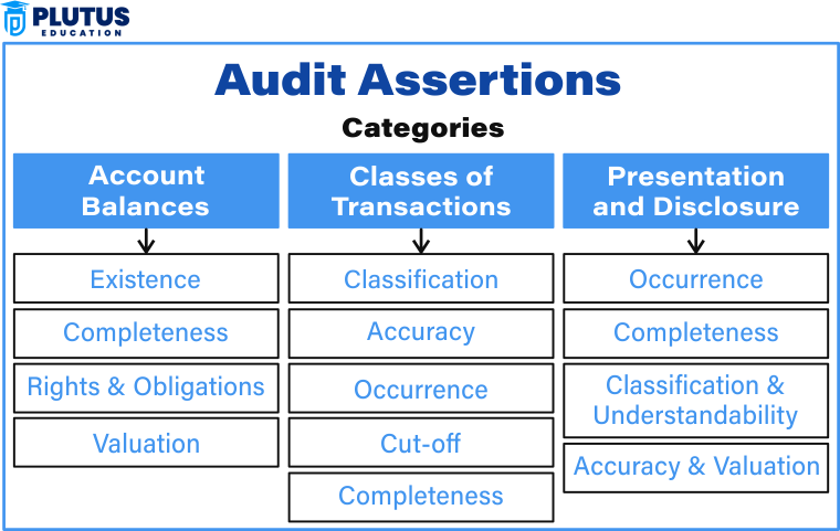 assertion meaning in audit
