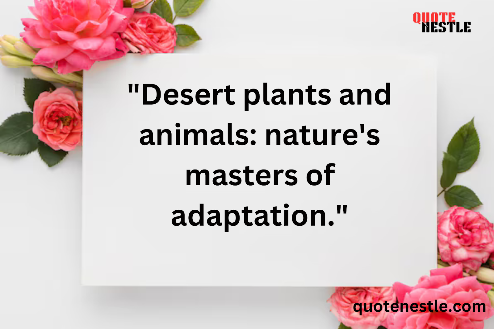 Famous Desert quotes