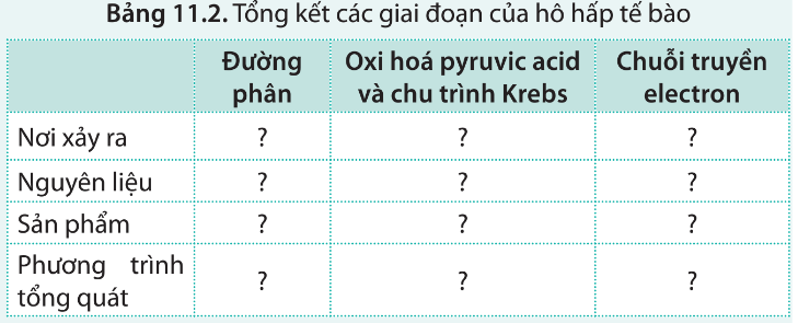 BÀI 11 - TỔNG HỢP VÀ PHÂN GIẢI CÁC CHẤT TRONG TẾ BÀO