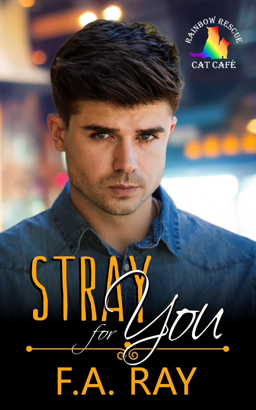 Stray for You Cover png