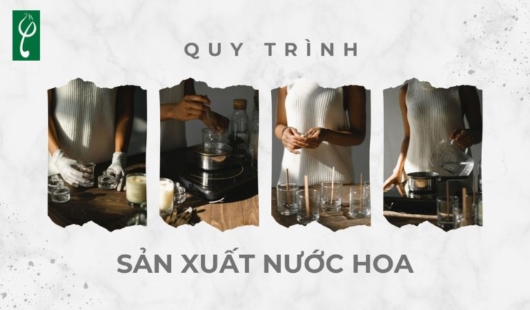 Quy trình gia công nước hoa hương gỗ tuyết tùng