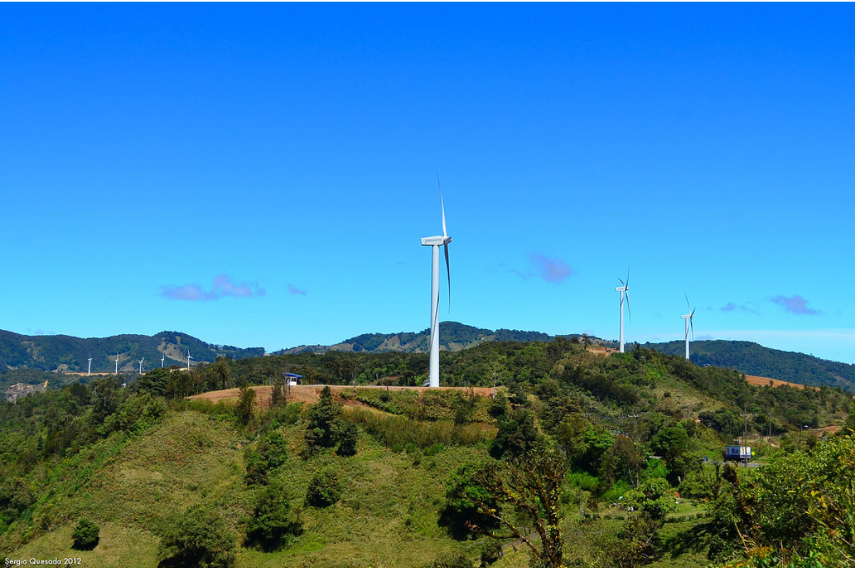 There are large wind fans and so nay trees and grass around there and sky looks clear blue-near Cartago