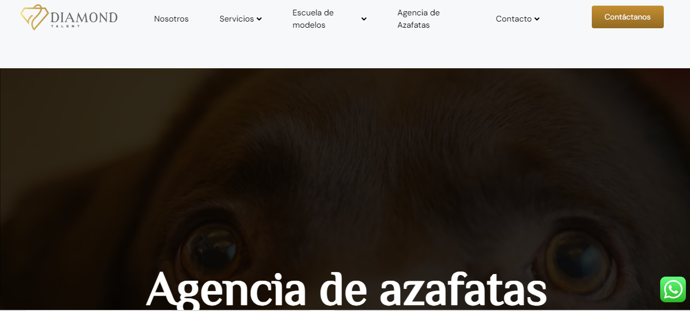 Luxury event planning by agencies for events in Spain.
