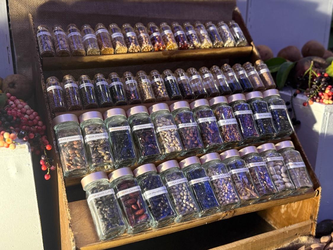A shelf with many jars of different colored beans

AI-generated content may be incorrect.
