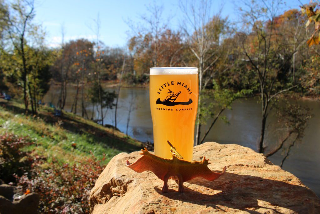 A closeup shot of a craft beer glass filled with beer from Little Miami brewing company. The glass is kept on a rock and is placed against a scenic view.