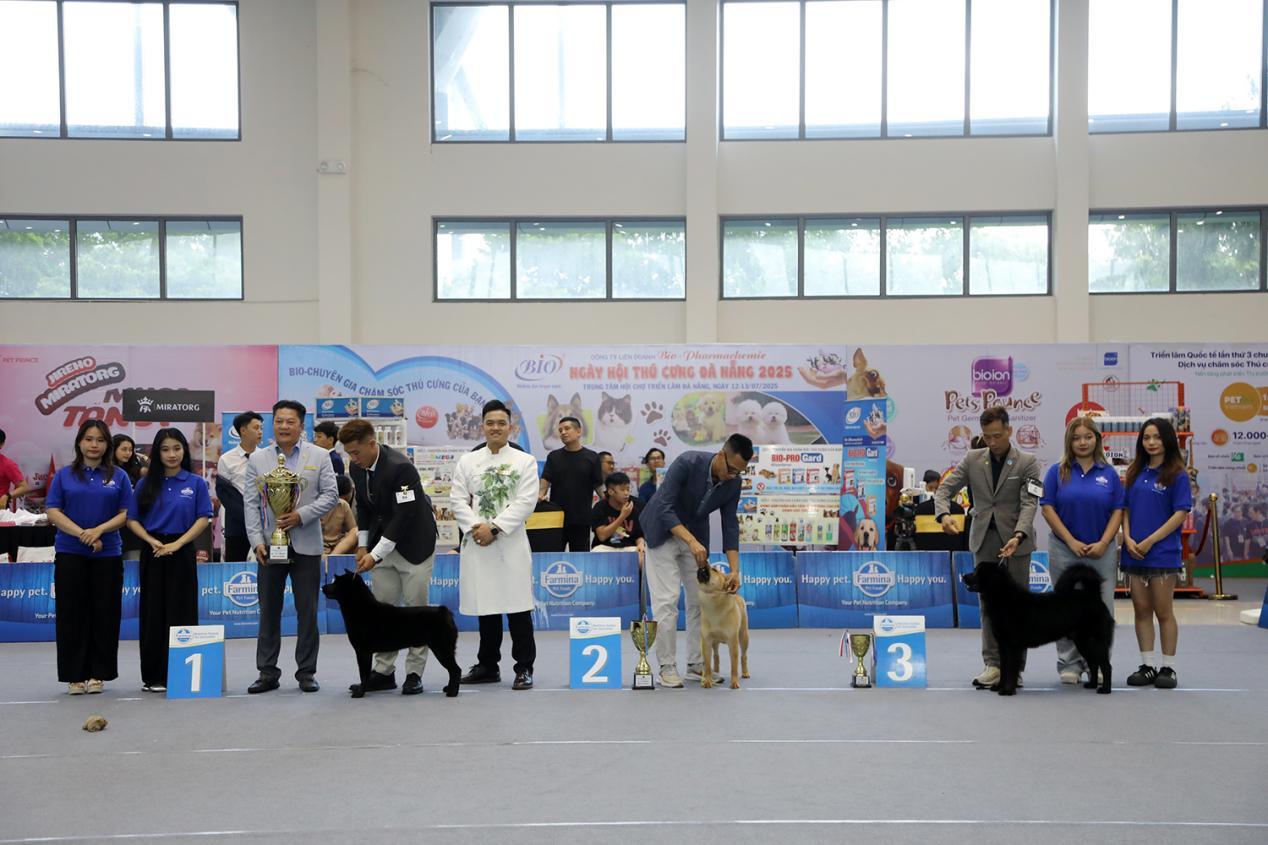 Dog-Show-(80)