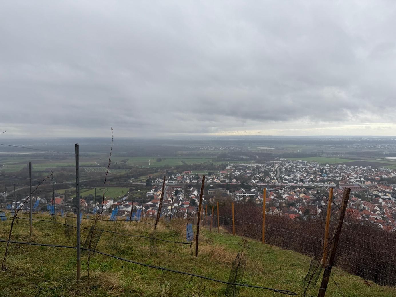 Ein Bild, das draußen, Wolke, Gras, Himmel enthält.

Automatisch generierte Beschreibung