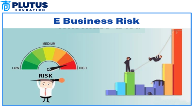 E business Risk