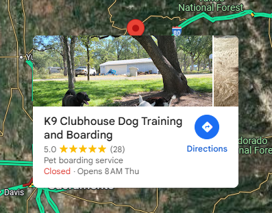 Trusted Dog Boarding Grass Valley Pet Owners Love