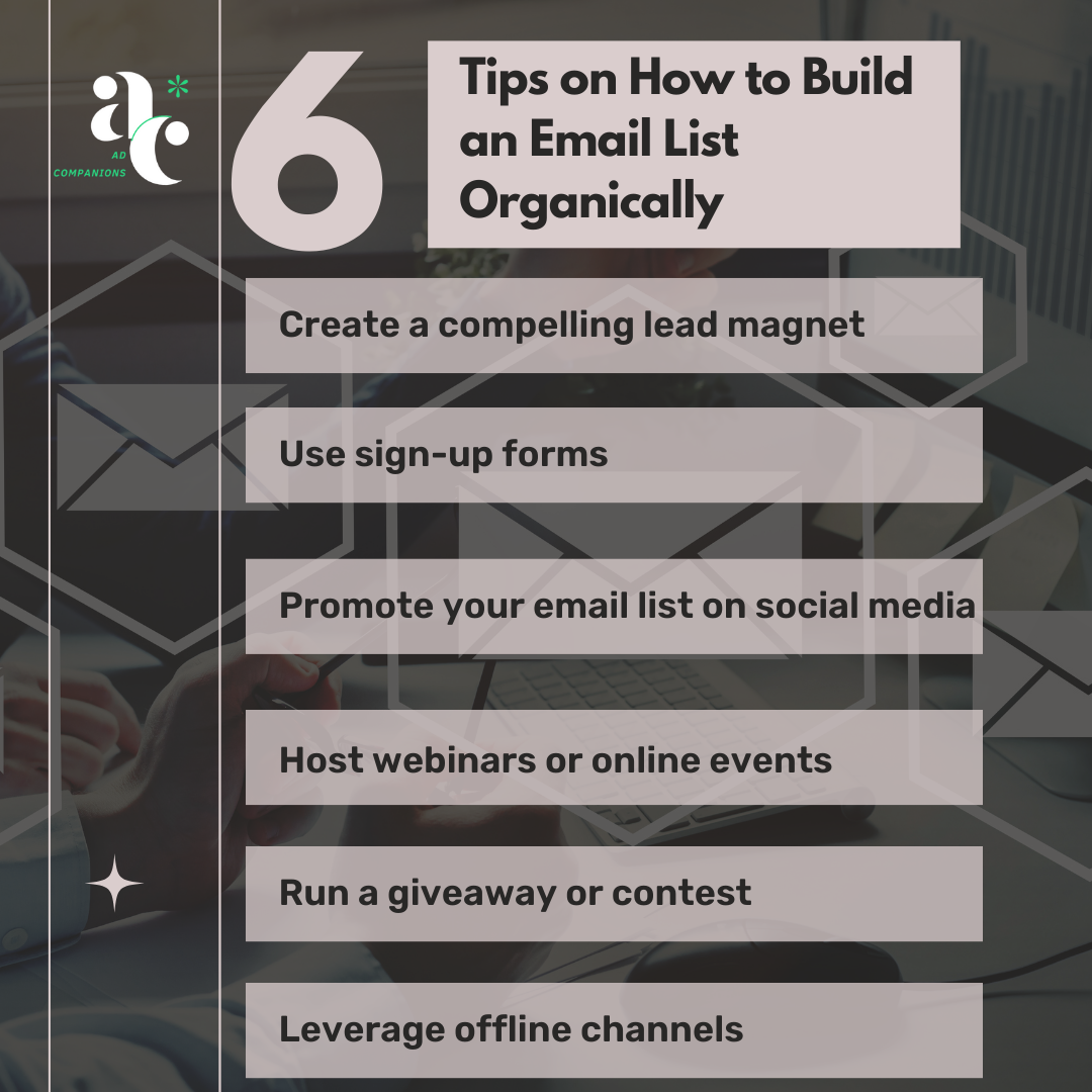 how to build an email list organically