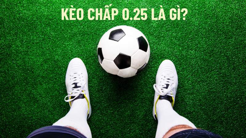 Kèo Chấp 0.25 Là Sao? Chấp 1/4 Là Gì? Hướng Dẫn Đọc Kèo Chi Tiết