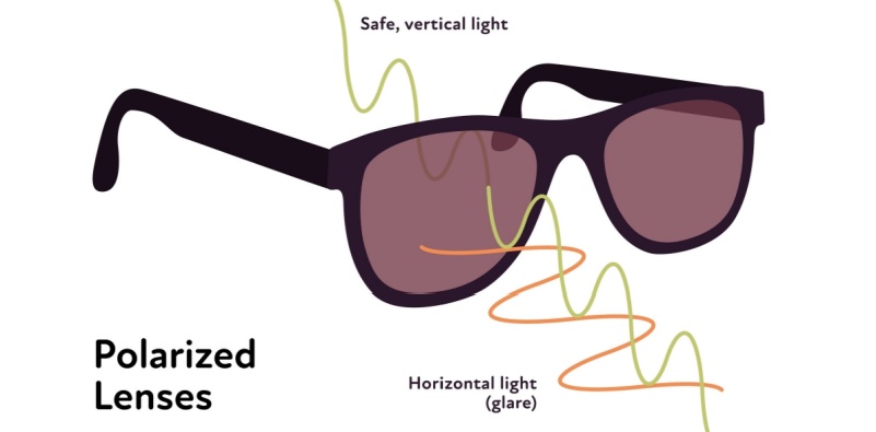 What do polarized lenses do