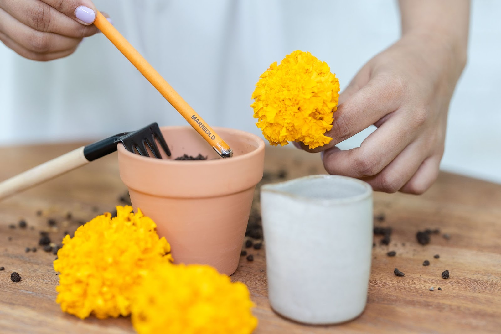 Purple and Pure - Plantable Seed Pens – Marigold