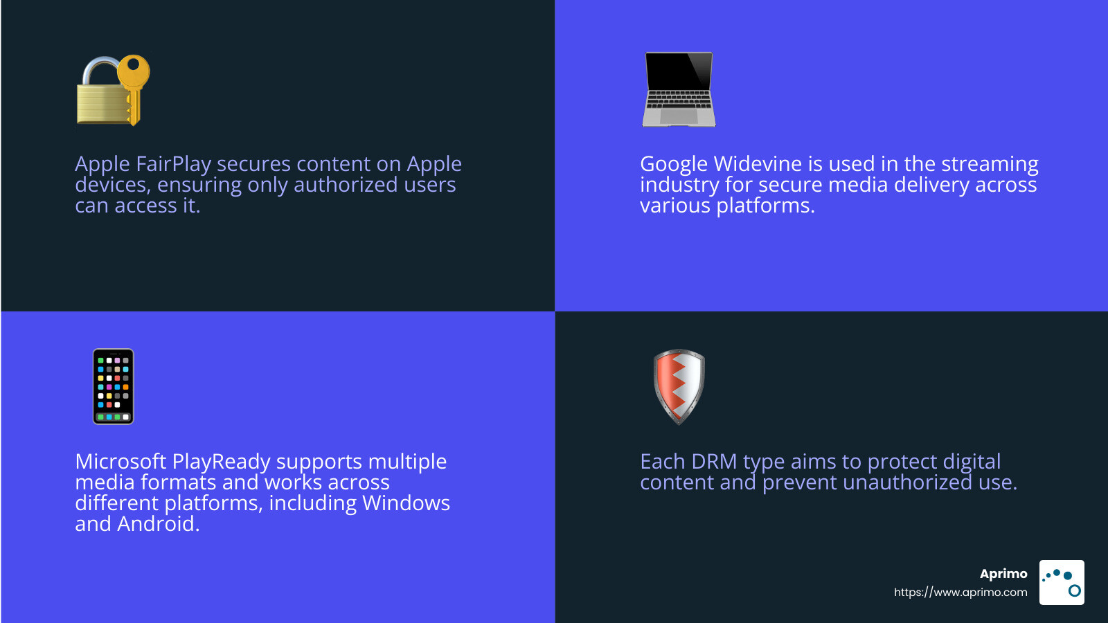 Types of DRM Technologies - what are digital rights management infographic 4_facts_emoji_blue