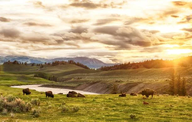 The Stillness of Nature Captured in 15 Shots, stillness in nature, quiet photos, nature, landscape, meditative landscapes, soft nature
