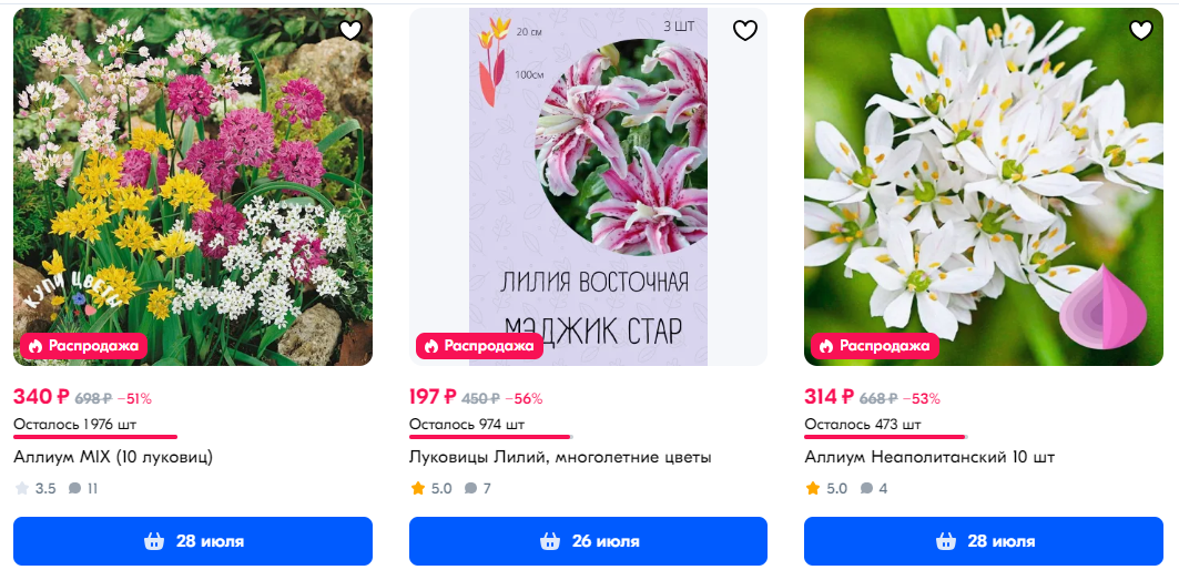 Декоративный лук в саду: виды, посадка и уход