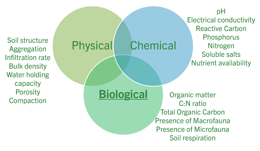 A diagram of different types of chemical Description automatically generated